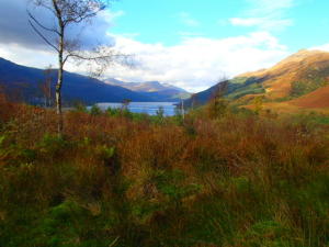 Fall colors in Scotland, Loch Lomond