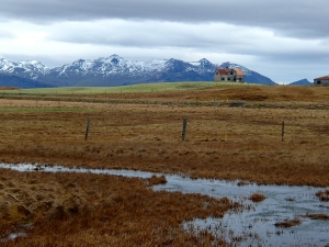 Our Farmstay