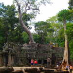 Ta Prohm Temple (Tomb Raider)