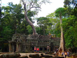 Ta Prohm Temple (Tomb Raider)