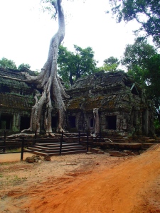 Ta Prohm Temple (Tomb Raider)