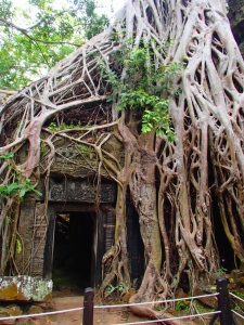 Ta Prohm Temple (Tomb Raider)