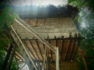 treehouse bungalows, koh rong