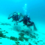 PADI Certified