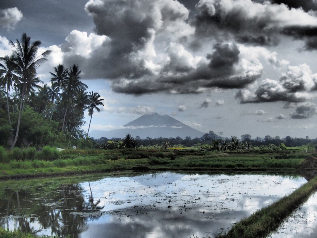 View leaving Ubud