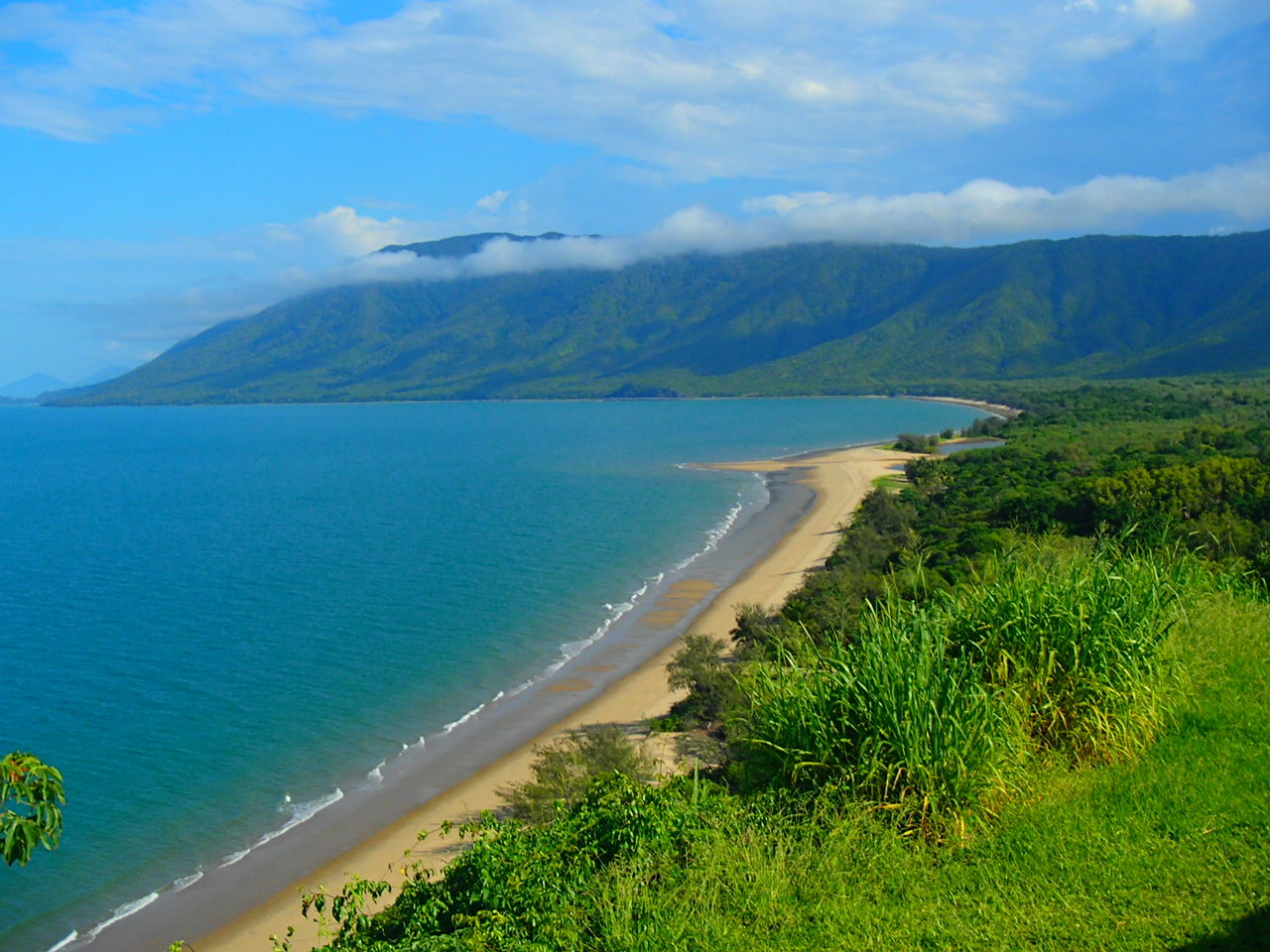 Daintree NP