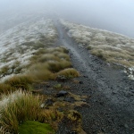 Day 2, Kepler Track