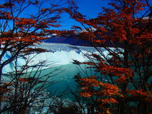 Perito Moreno Glacier