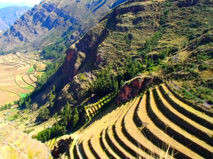 Pisaq Ruins Terraces